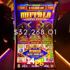 14pg: A Experiência de Casino com Jogos de Mesa ao Vivo